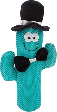 dog toy cactus with cactus inside