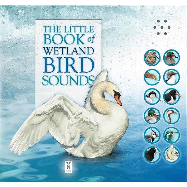 Amazon.com: Bird: 9780811870986: Zuckerman, Andrew: Books