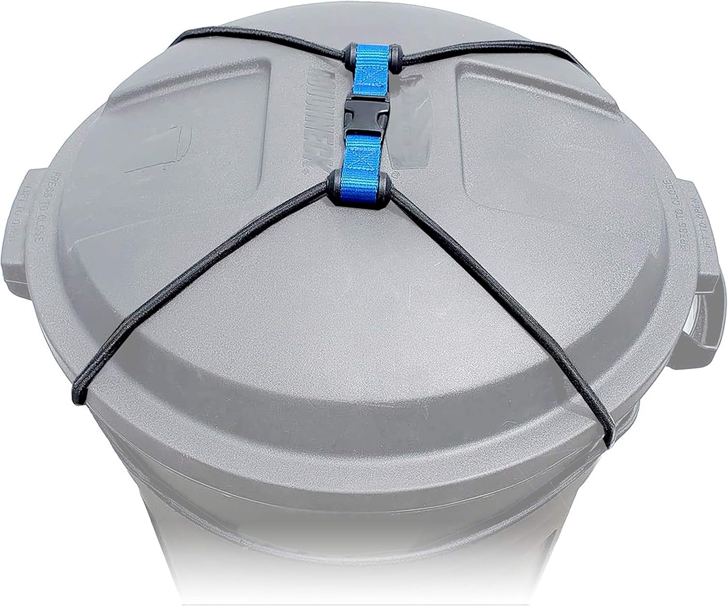 How to Keep Racoons Out of Your Garbage