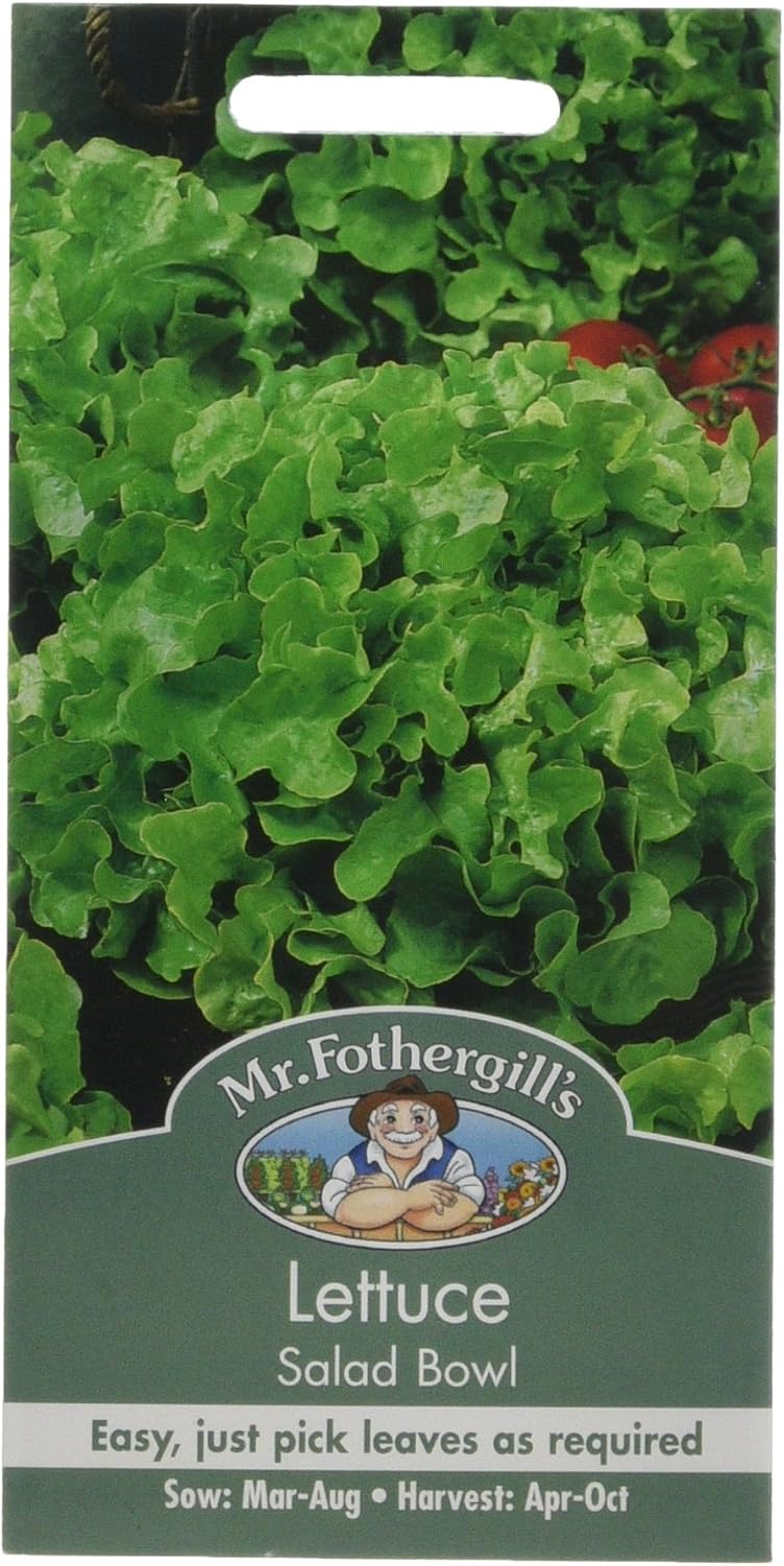 Mr Fothergill's 10254 Vegetable Seeds, Lettuce Salad Bowl, Green