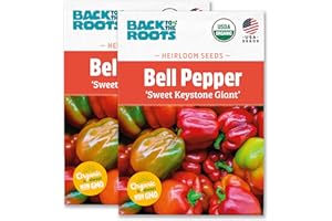 Back to The Roots 100% Organic Heirloom Seeds - Keystone Resistant Giant Bell Pepper Value Pack (280mg Total)