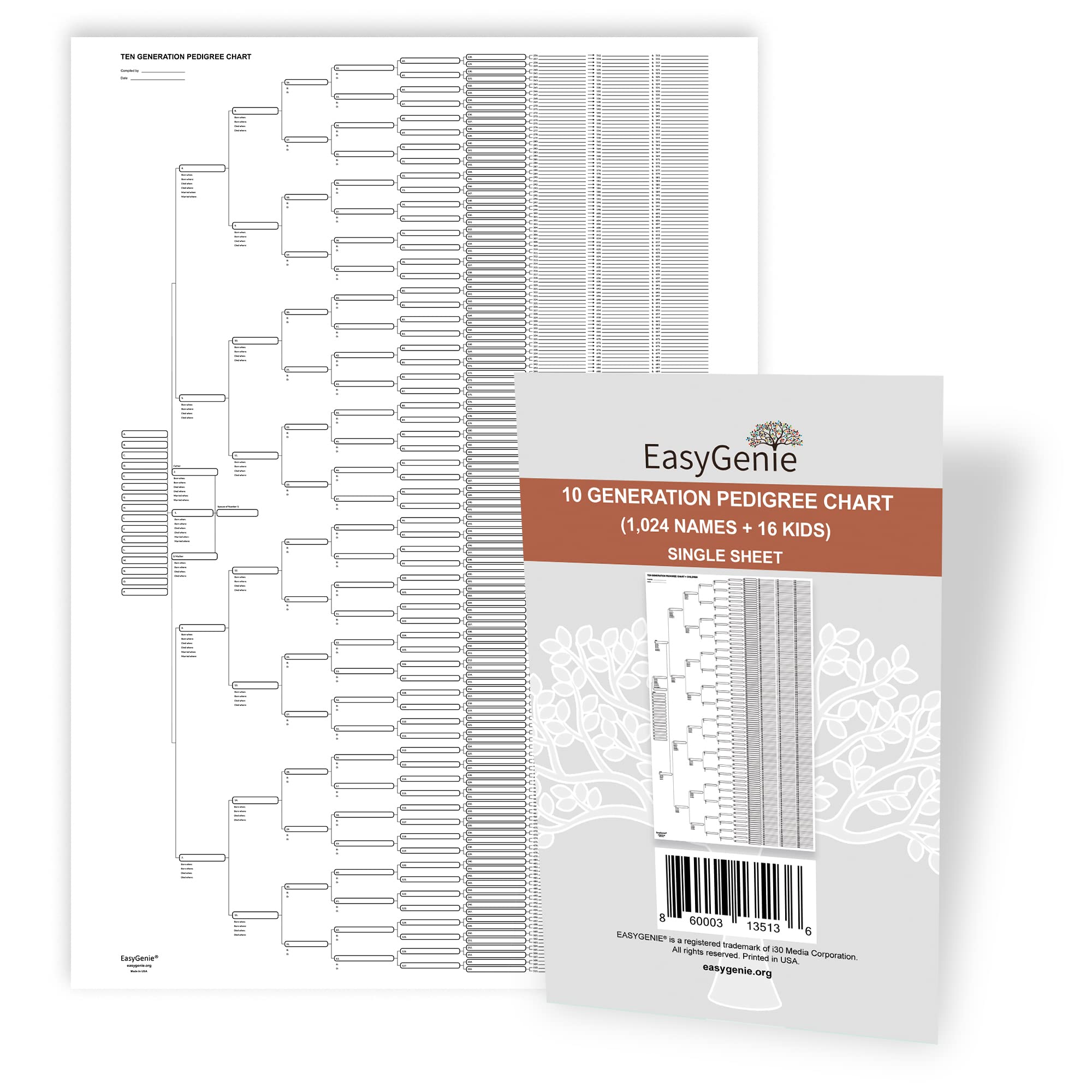Photo 1 of 10 Generation Blank Pedigree Charts Plus Kids (Single Sheet) | Archival Quality Genealogy Charts for Family History Records