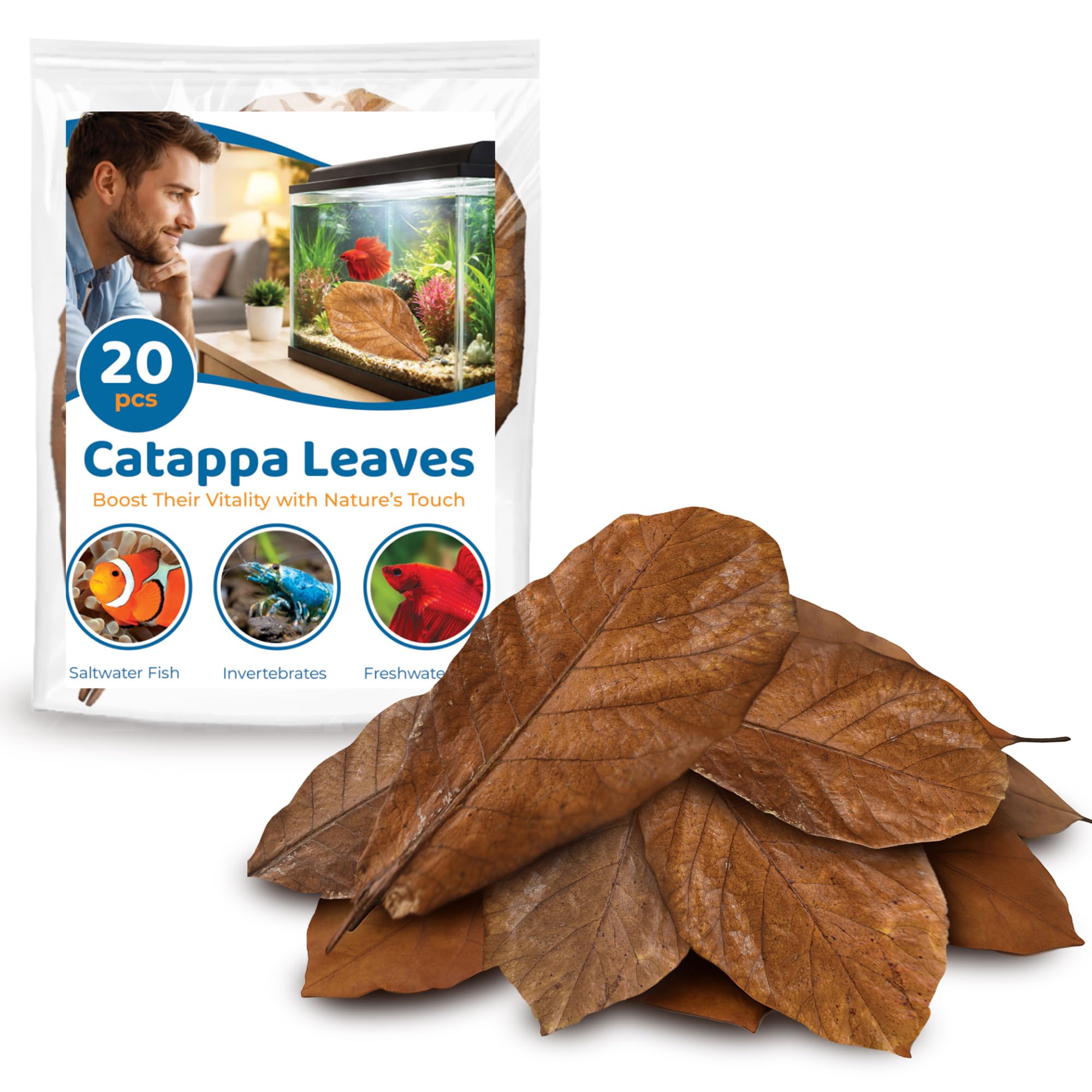 SunGrow 20 Pack Indian Almond Leaves for Betta Fish Tank Water Treatment, XL (7"), Catappa Leaves Induce Breeding and Boost Immunity, Reduce Stress, pH Down Aquarium Water Conditioner