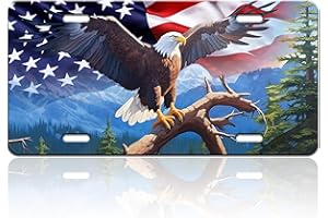 TINALUIN American Flag Bald Eagle License Plate Mountain Forest Bird License Plate Stainless Steel Front License Plate Vanity Tag Funny for Car Decorative Accessories for Women Men 6 X 12 Inch with 4 Holes