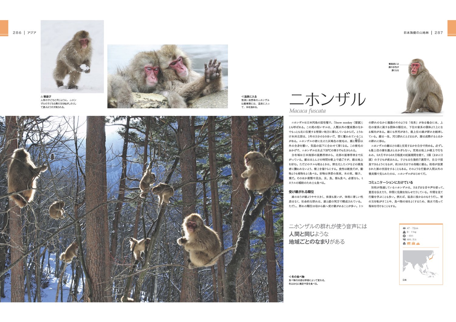 驚くべき世界の野生動物生態図鑑 スミソニアン協会 小菅 正夫 黒輪 篤嗣 本 通販 Amazon
