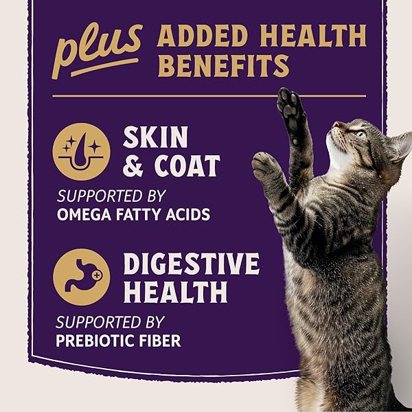NATURAL BALANCE ULTRA PROTEIN PLUS WET CAT FOOD, SKIN & COAT AND DIGESTIVE HEALTH REAL SALMON WITH PUMPKIN PUREE TOPPER WITH CHICKEN LIVER & CHICKEN HEART, HIGH PROTEIN CAT FOOD – 2.4 OZ. (PACK OF 24)