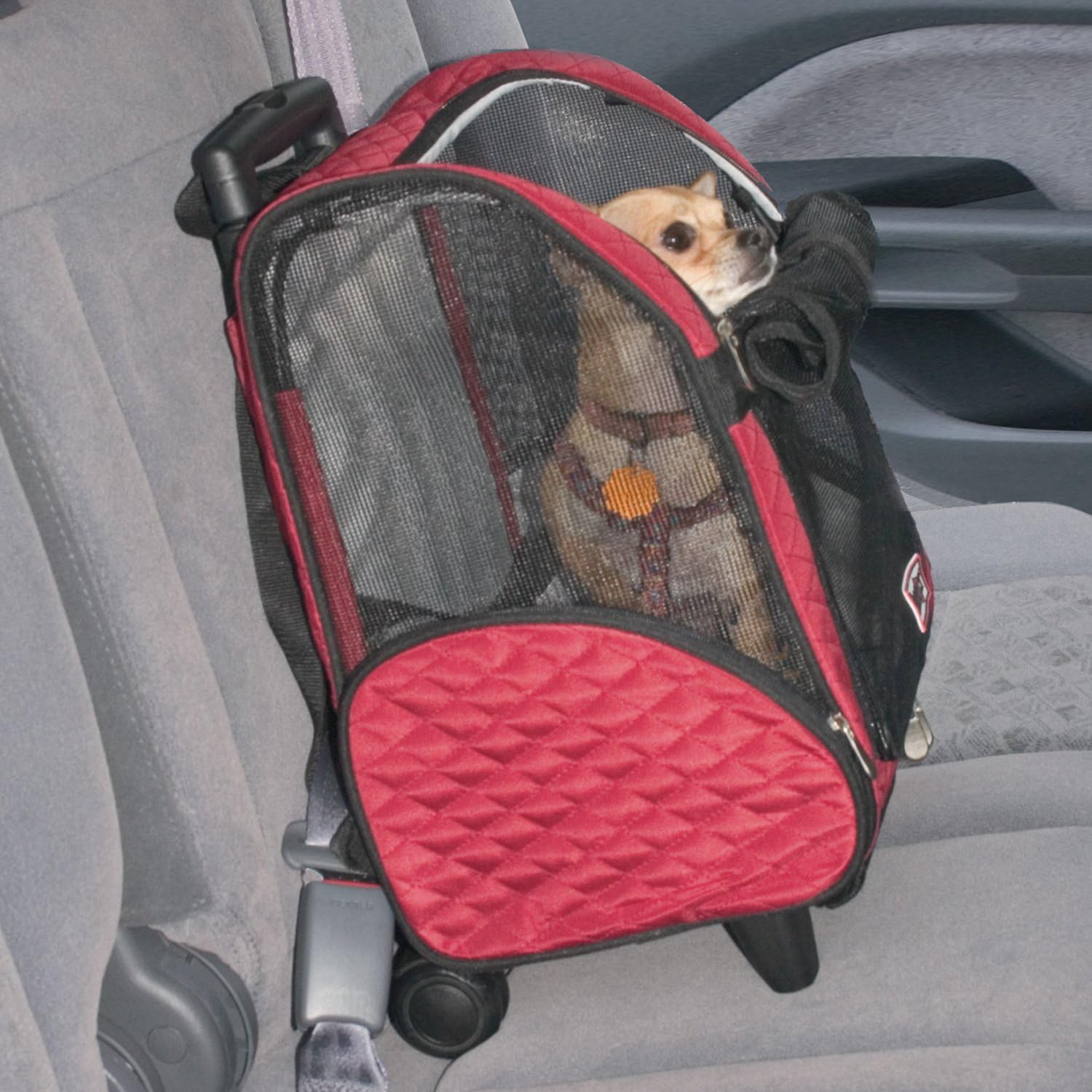 Snoozer Roll Around 4-in-1 Pet Carrier, Red & Black, Medium : Airline Approved Pet Carrier : Pet Supplies
