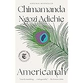 Americanah: A novel