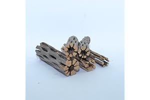 NILOCG AQUATICS NApremium Natural Cholla Wood | 4 Pieces of 4" Long Natural Cholla Wood for Aquarium Decoration, Hermit Crabs, Shrimp
