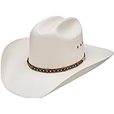 Stetson Gunfighter 10X Cowboy Hat