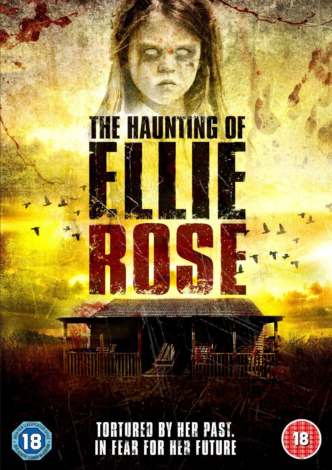 The Haunting Of Ellie Rose [DVD]