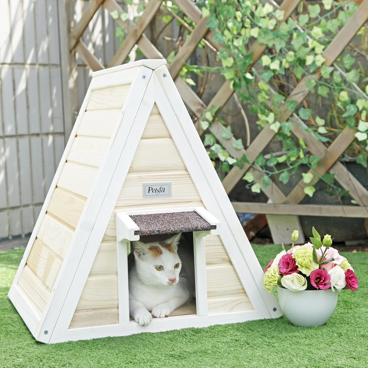 Petsfit Outdoor Triangle Cat House with Escape Door for 1-2 Cats : Pet Supplies