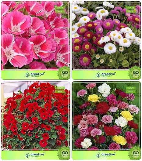 Creative Farmer Flower Seeds : Flower Seeds For Pot Winter Combo Clarkia Elegans, Daisy- White, Petunia-Scarlet, Dianthus Dwarf Flower Seeds Pack By CreativeFarmer