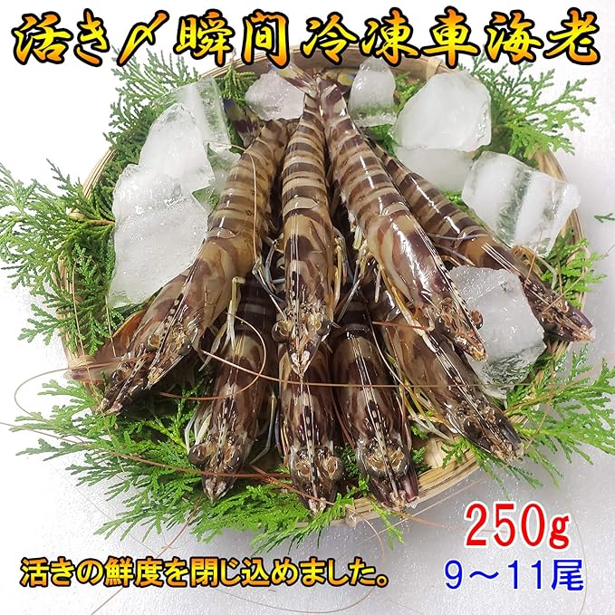Amazon 熊本県産 急速冷凍 車海老 250g 水揚げ即真空パック 瞬間冷凍で鮮度抜群 吉本水産車えび エビ 通販