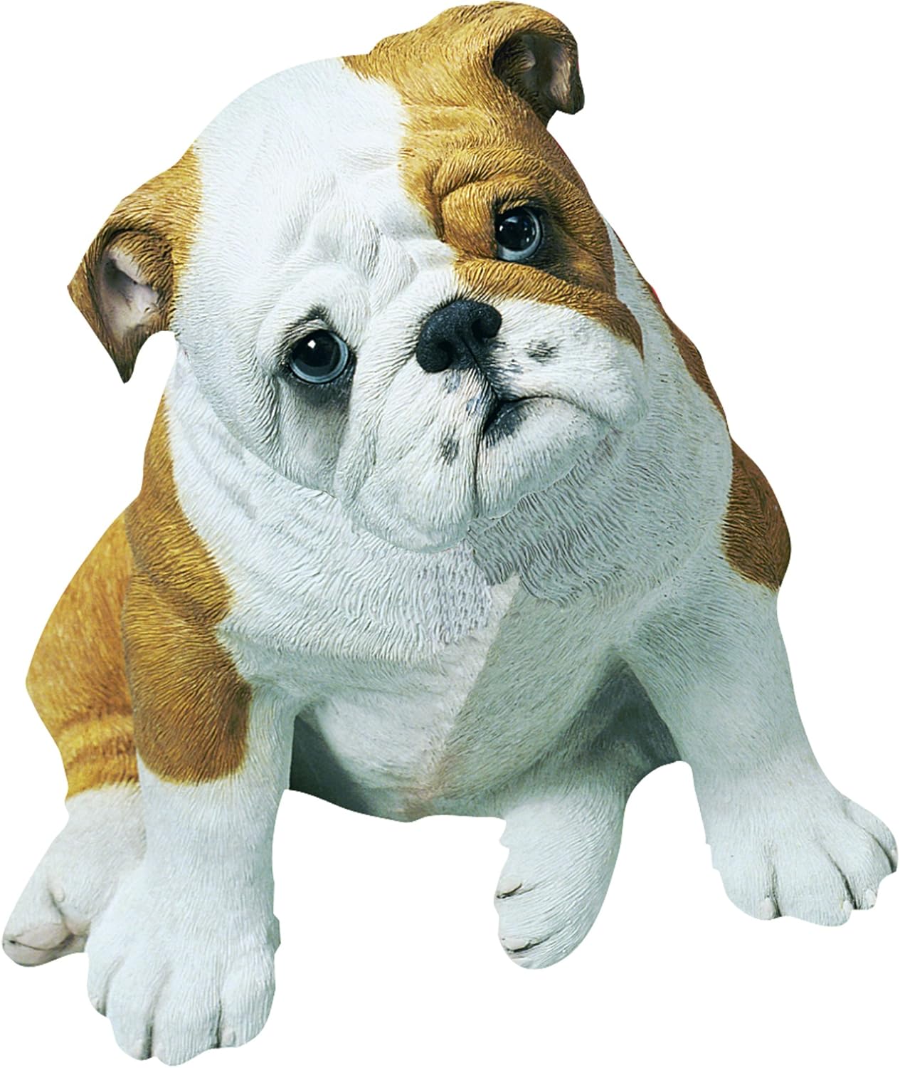 $200 english bulldog puppies