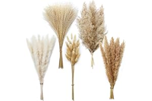 Eibeebay 110 PCS Boho Pampas Grass Decor Reed Grass Dried Flowers and Bunny Tails Dried Flowers Natural Dried Pampas Grass Bouquet Pampass Grass for Boho Decor Wedding Home Decoration (5 Styles)