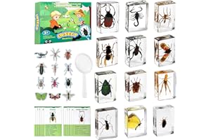 Artojoy Insect in Resin Specimen, 12 PCS Scientific Educational Bugs Collection, Real Specimens of Various Butterflies and Beetles Preserved, Stickers, Science Classroom Preschool Display(Total 61pcs)