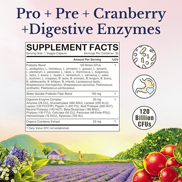 VITALITOWN PROBIOTICS FOR WOMEN 120 BILLION CFUS, 30 STRAINS, WITH PREBIOTICS & DIGESTIVE ENZYMES & CRANBERRY, GUT & VAGINAL HEALTH, VEGAN 30 DELAYED RELEASE CAPS