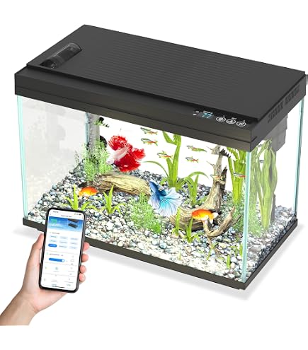 Amazon.com : 13.8 x 11 x 10.3 in Fish Tank Kit Ideal Aquarium for