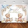 Avezano Boho Bear Gender Reveal Backdrop He or She Party Decorations Pink or Blue Pampas Grass Gender Reveal Party Photography Background Bohemian Bear Gender Reveal Decorations Photoshoot (10x6.5ft)