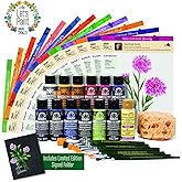 FolkArt One Stroke Donna Dewberry Flowers of the Month Let's Paint Kit, 2 ounce