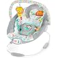 Bright Starts Whimsical Wild Cradling Bouncer Seat with Soothing Vibration & Melodies , 19x23x23 Inch (Pack of 1)