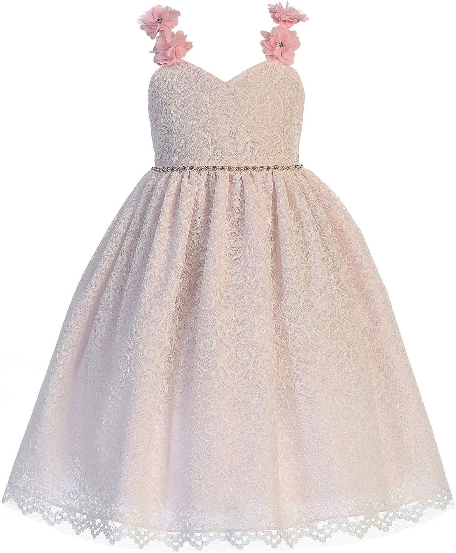 Crayon Kids Little Girls Pink Floral Appliques Lace Flower Girl Dress 2T-6
