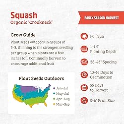 Back to the Roots 100% Organic Seed Packet - Squash