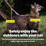 PetSafe Come With Me Kitty Harness and Bungee Leash Large Dusty Rose Burgundy view 5