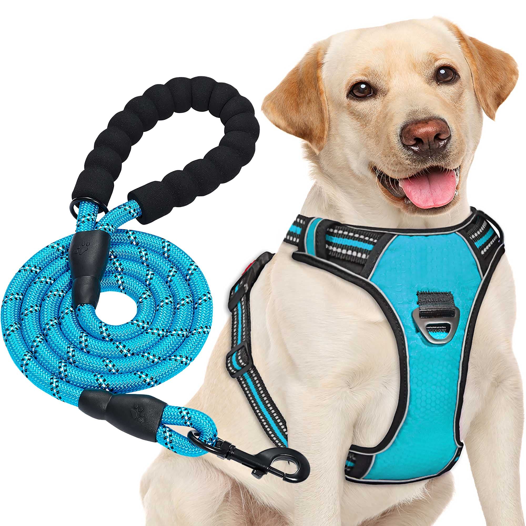 haapaw No Pull Dog Harness Adjustable Reflective Oxford Easy Control Medium Large Dog Harness with a Free Heavy Duty Dog Lead