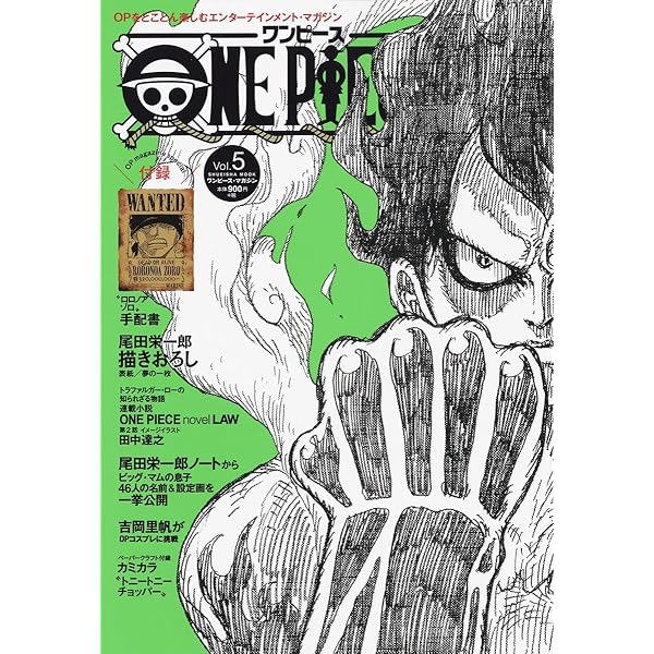 Amazon.com: ONE PIECE magazine Vol.8 [Mook Japanese Edition