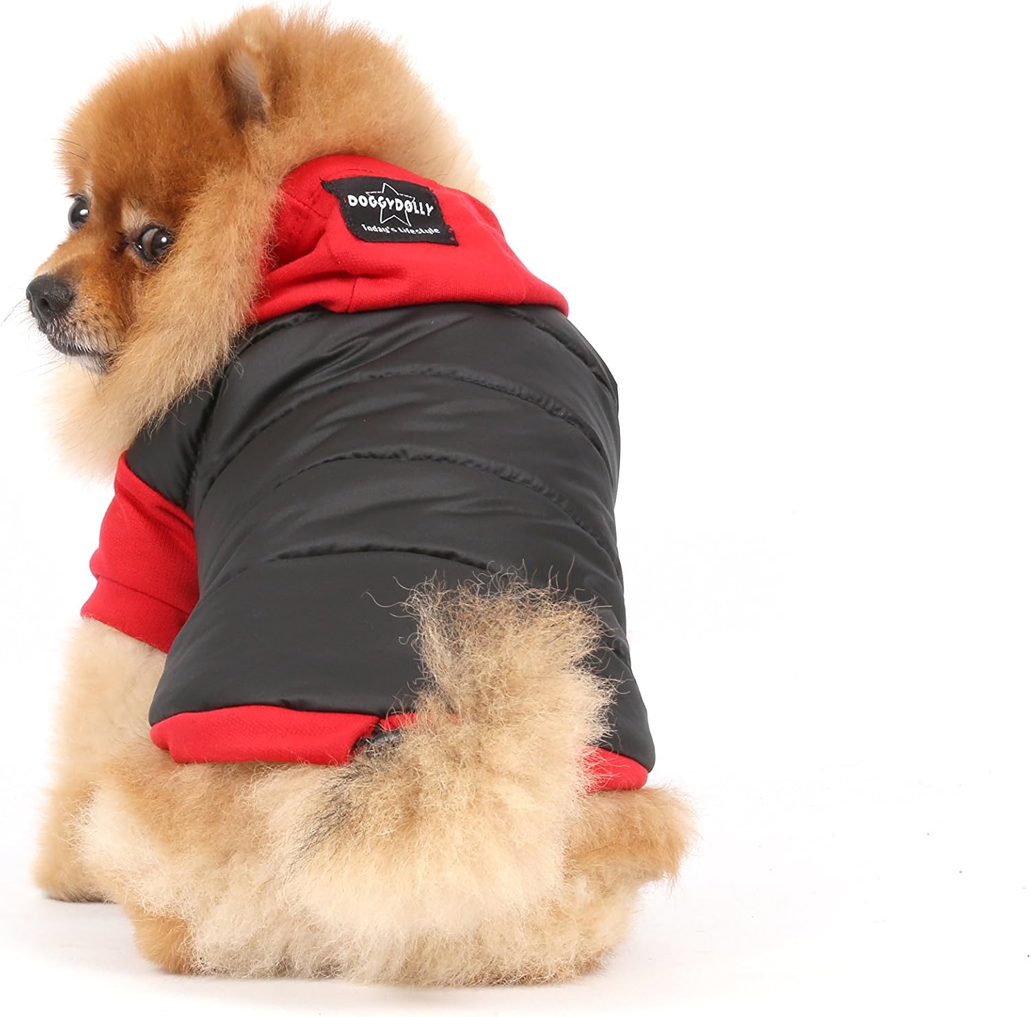 DoggyDolly Authentic Impermeable Hoodie Jacket, Small, Black - Image 5