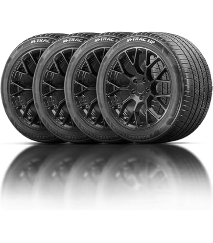 Amazon.com: Falken AZENIS FK510 All- Season Radial Tire-245