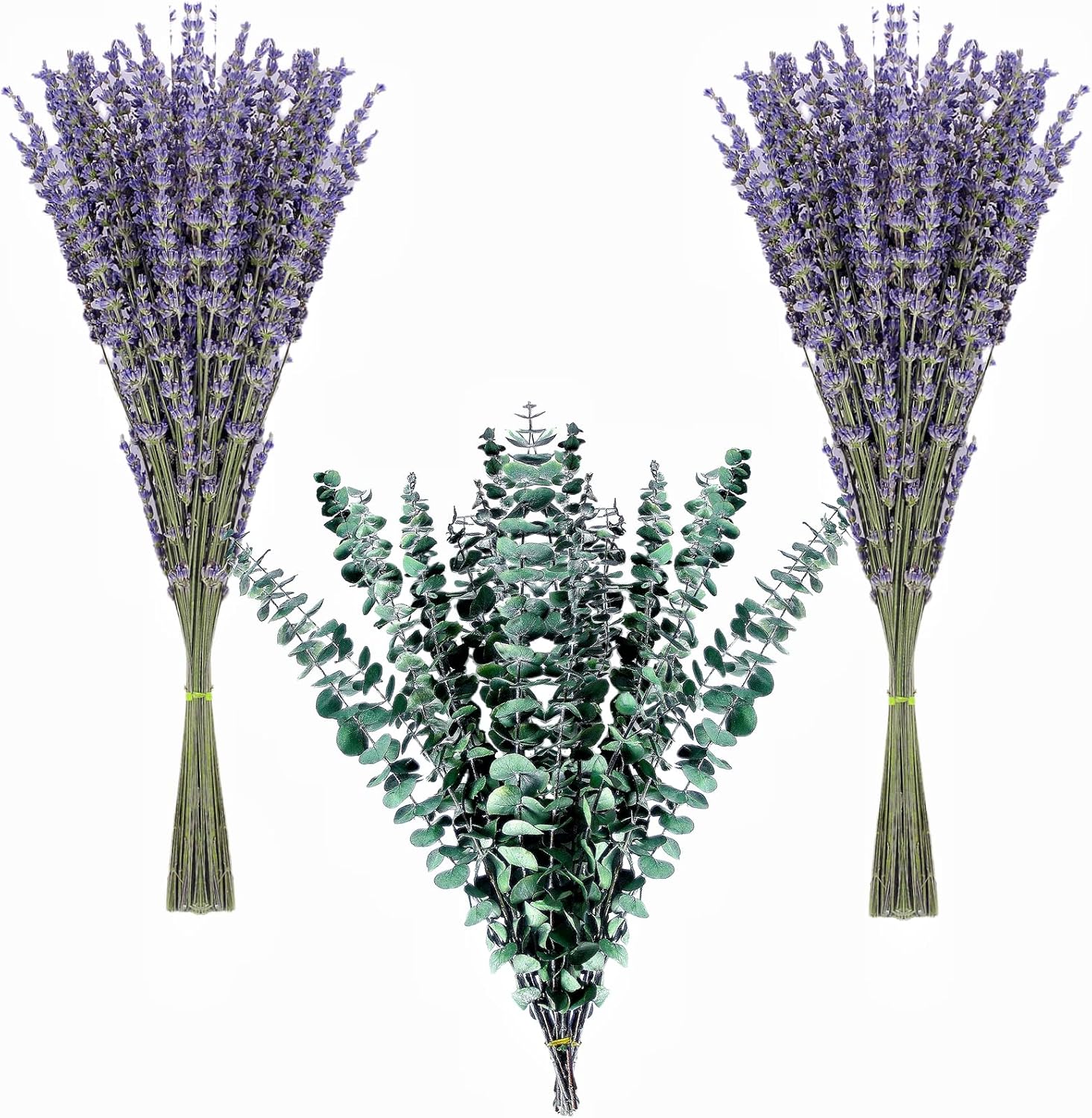 Dried & Preserved Flora - 130 Stems Dried Lavender Flowers and Shower Eucalyptus Hanging Bouquet , 120 pcs of Lavender Plant , 10 pcs of Eucalyptus Leaves Use of Home Decor Greenery for Bathroom, Living Room Kitchen, (17inch)