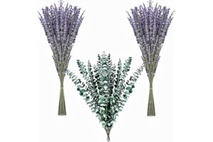 NAUNAUYA 130 Stems Dried Lavender Flowers and Shower Eucalyptus Hanging Bouquet , 120 pcs of Lavender Plant , 10 pcs of Eucalyptus Leaves Use of Home Decor Greenery for Bathroom, Living Room Kitchen, (17inch)