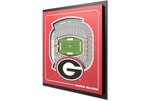YouTheFan Officially-licensed NCAA Stadium Series 3D Wall Art - multi-layer team stadium replica, detailed sports fan gift, indoor decor
