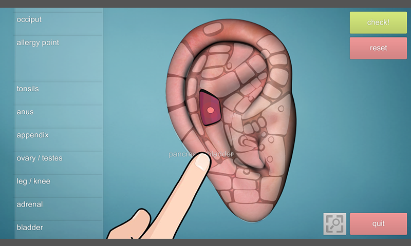 Drag & Drop Reflexology (ear chart)