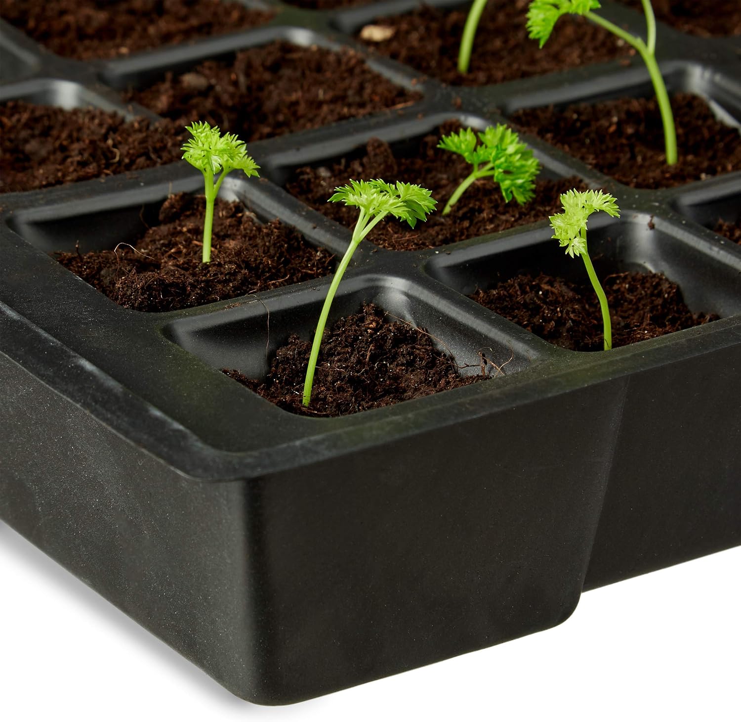Relaxdays, Negro, 4,5 x 45 x 23 cm Semillero Mini con 24 ...