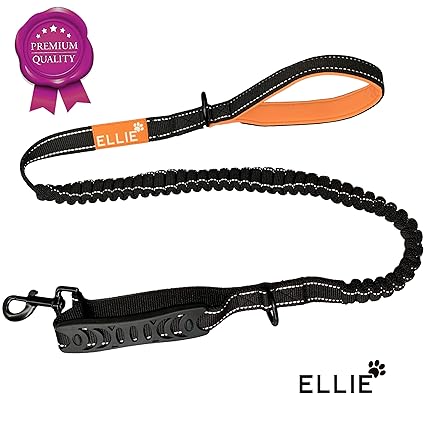 Ellie Hundeleine - Dog Leash für kleine & große Hunde - elastische Leine mit Bungee Ruckdämpfer - Reflektierende Leine für ma