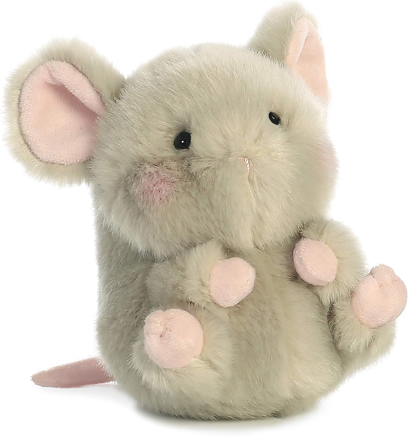 little mouse pet