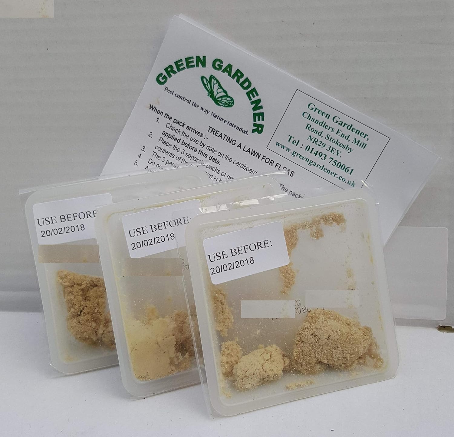 teacup lhasa apso puppies for sale