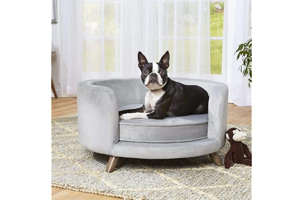 tiny dog couch