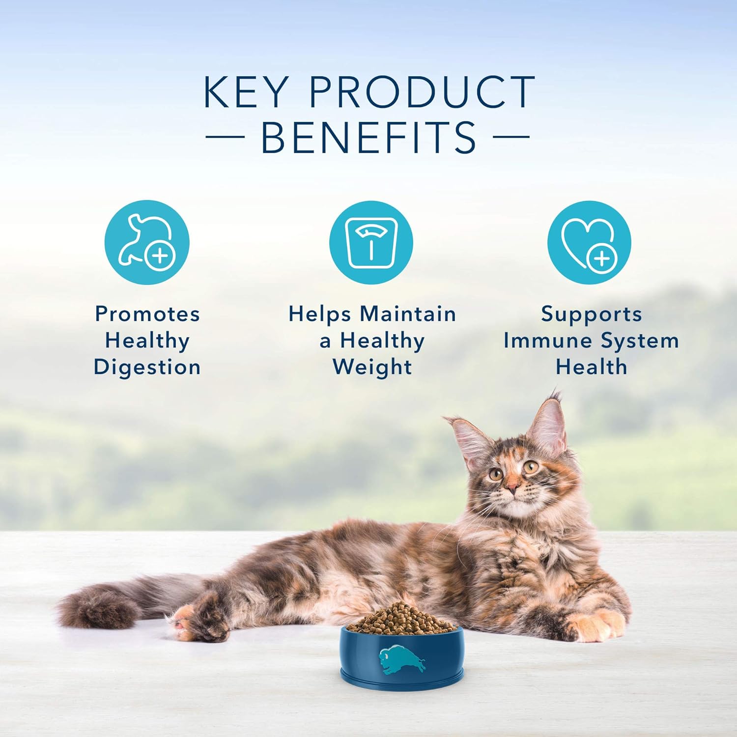 Blue Buffalo Indoor Health Natural Adult Dry Cat Food, Chicken & Brown Rice 15-lb : Dry Pet Food : Pet Supplies