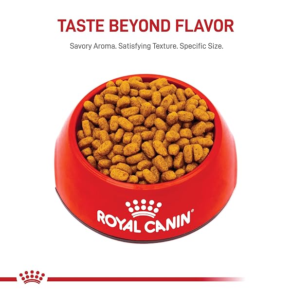 ROYAL CANIN MALTESE ADULT DRY DOG FOOD, 2.5 LB BAG
