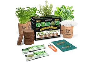 Meekear Indoor Herb Garden Starter Kit, 5 Non-GMO Herb Seeds - Basil, Parsley, Rosemary, Thyme, and Mint with Complete Planting Set for Kitchen Herb Garden DIY