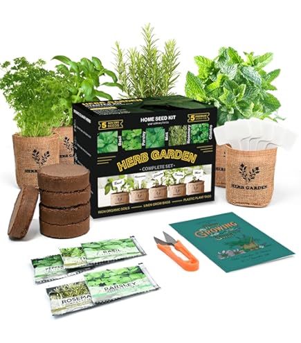 Amazon.com : Easy to Grow Thyme Lemon Variegated - 2 Potted Plants