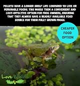 Love Wildlife Wildlife Pond Food 80g – Sinking Pellets for Frogs Toads Newts view 7