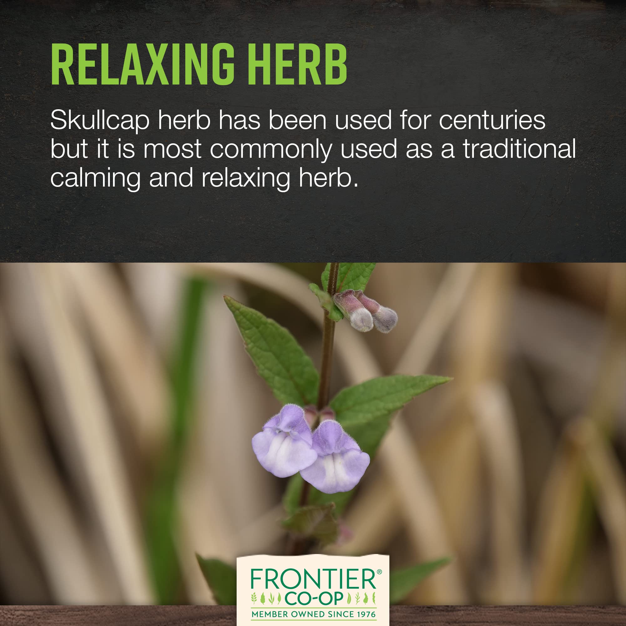 Frontier Co-op Organic Scullcap Herb Cut & Sifted Certified Organic Herbal Supplement 1lb - Skullcap Herb for Tincture, Tea, Supplement