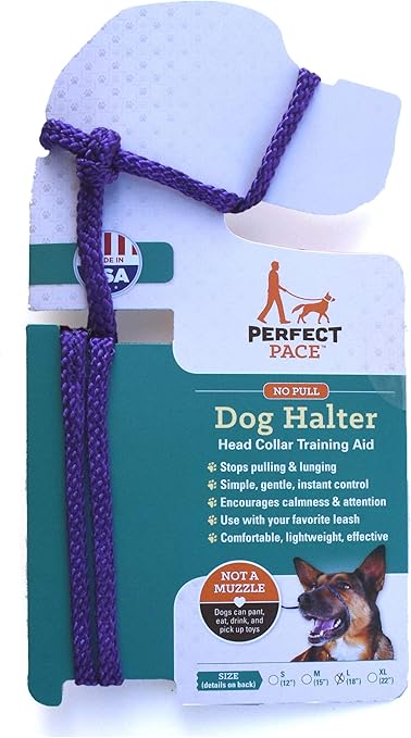 perfect pace head halter