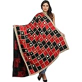Exotic India Phulkari Dupatta from Punjab with Embroidery All-Over and Mirrors - Art Silk